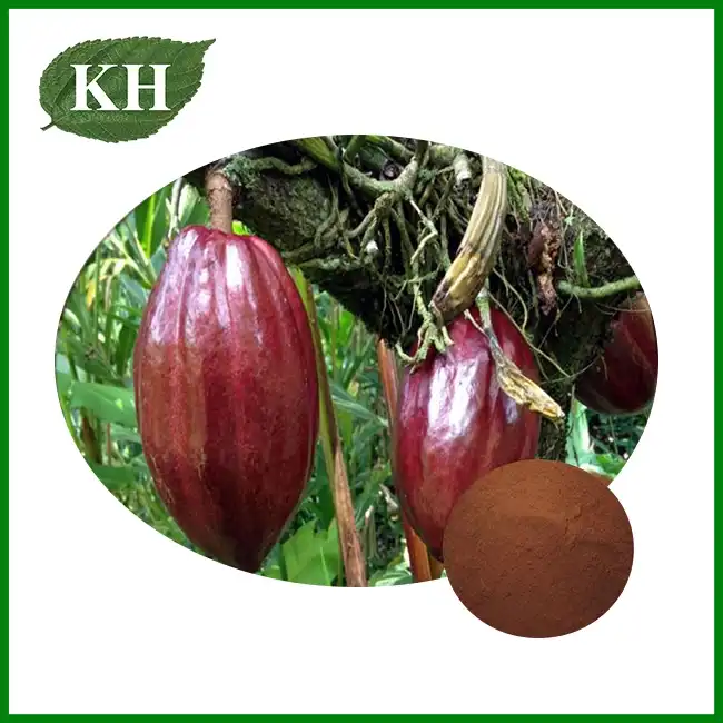 Theobroma Cacao Extract